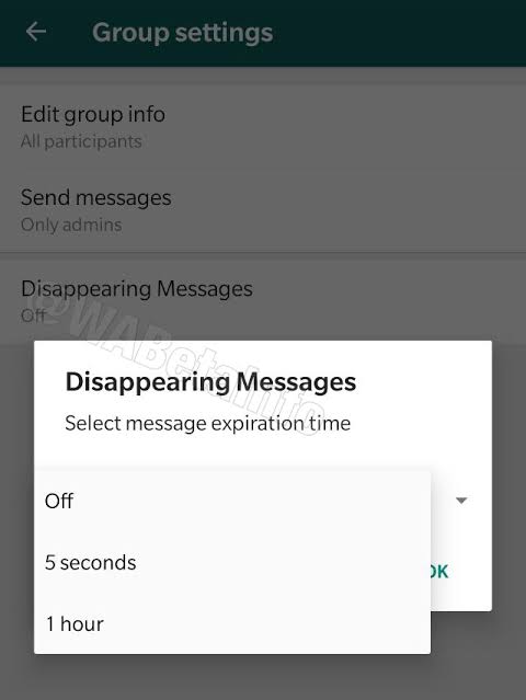 Whatsapp message disappearing
