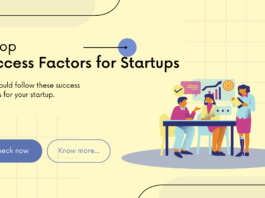 Success Factors for Startups